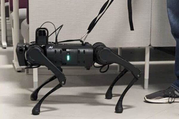 Robotic seeying-eye dog.