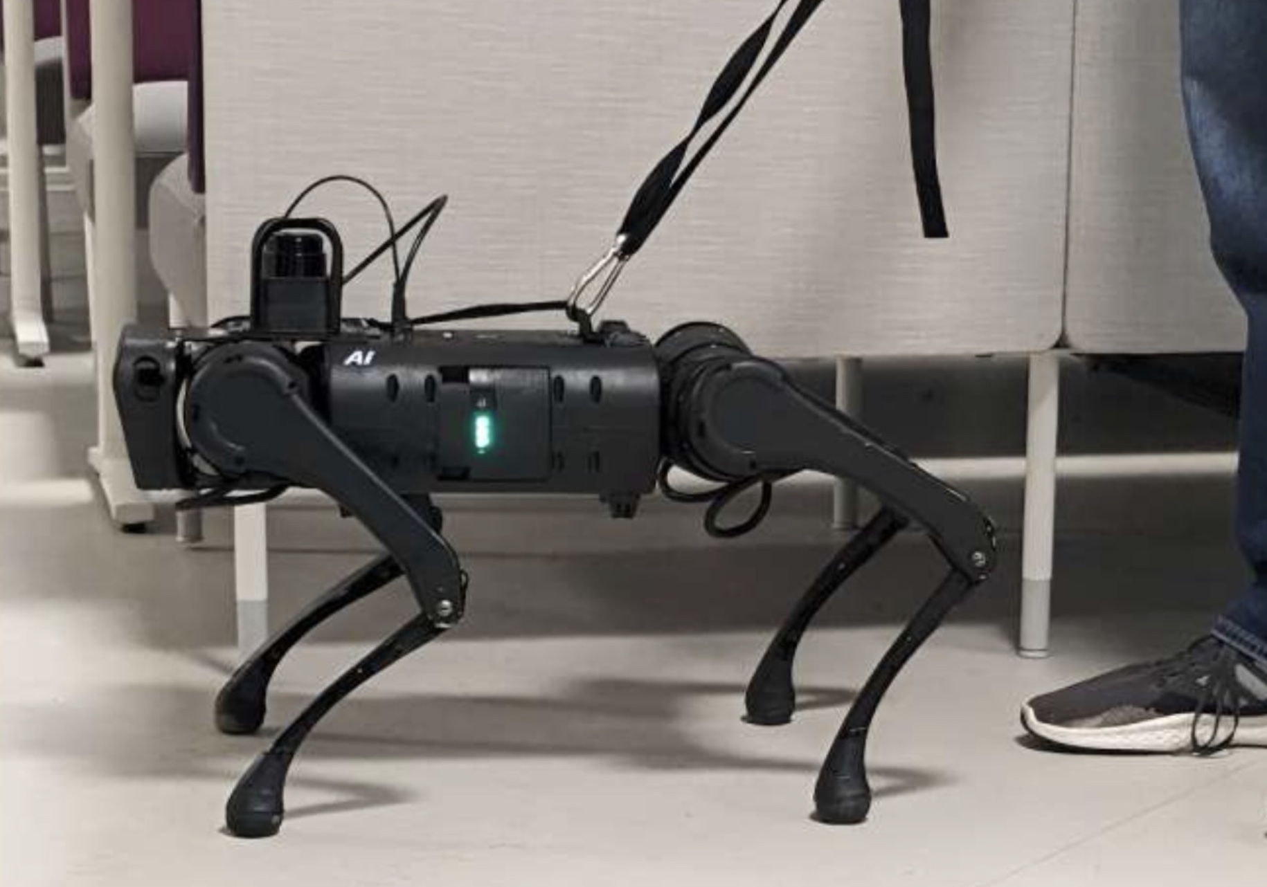 Robotic seeying-eye dog.