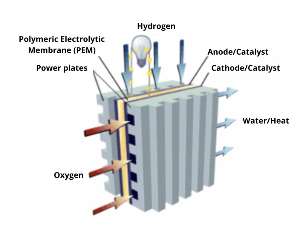Diagram of a proton exchange membrane fuel cell.